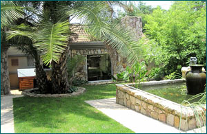 Homely Property - Craighall Park